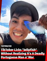 Anything Is Edible Once”: 50 People Who Came Close To Death And Didn't Even  Realize It