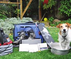 How to survive your first day home. Https Drsophiayin Com App Uploads 2015 12 Socialization Checklist Pdf