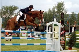 Puteţi comanda întreaga gamă de produse şi servicii sau să găsiţi informaţii de contact. Baza HipicÄ Piatra NeamÅ£ Concurs InternaÅ£ional De SÄrituri Peste Obstacole Ziarul Ceahlaul