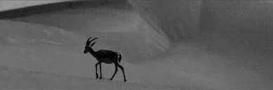 pin en vero1093s twitter header photos header photo twitter header image