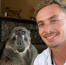 turns out Cindy the baboon didn't wake up in the best of moods today!  😅🐒❤#baboon #morning #grumpy #animallover #cuteanimals