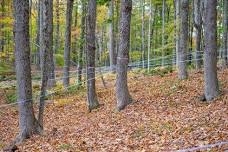 Sugarbush Management Field Day at Nutkin Knoll Farm