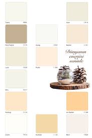 Özellikle beyaz, beyazın alt tonları ve bej. Asist Kese Kagidi Silikonlu Ic Cephe Duvar Boyasi 3 5 Kg Fiyati Yorumlari Trendyol