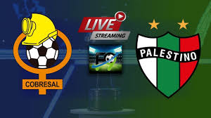 Head to head statistics and prediction, goals, past matches, actual form for copa sudamericana. Cobresal Vs Palestino En Vivo Youtube