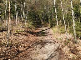 Seit mehr als 25 jahren ist er ein wichtiger. Seiebergwald Trail Meikirch Aarberg Mtb Trail Komoot