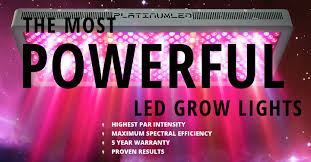 A 900w led grow light will cover a 4 x 4ft space. Platinum Led P150 Im Test Advanced Platinum Series