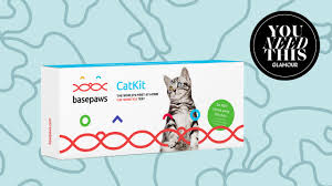 A wide variety of dog breed dna test kit options are available to you, such as quality certification, shelf life, and warranty. Basepaws Cat Dna Test Review Why It S Actually Worth Your Money Glamour
