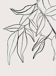 Besotted With Friday Faves Besotted Flower Line Drawings Art Inspiration Drawing Botanical Drawings