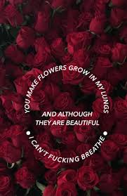 Pin By Jaders On Hidden Aesthetic Roses Flower Phone Wallpaper Aesthetic Iphone Wallpaper