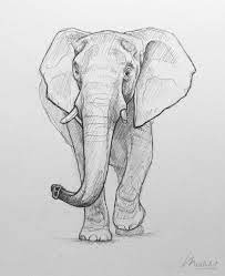 1280x720 anime animals drawings anime baby elephant from anime animals. Elephant Sketch Sketchbook Animal Art Pencil Drawing Of An African Elephant Realistic Wildlife Elephant Sketch Animal Drawings Sketches Animal Drawings