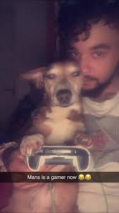 Adiós a mi querido amigo: un tributo a Socks