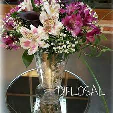 Floristerias En Salamanca Con Floristeria Diflosal