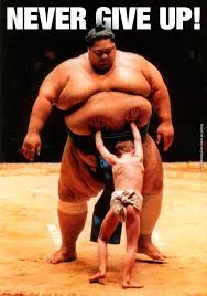 Afbeeldingsresultaat voor never give up funny