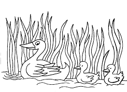 This collection of duck coloring pages take us into the secret worlds of ducks— please complete the colors and solve the mystery of what each adorable sad duck cartoon coloring page. Colours Drawing Wallpaper Duck Coloring Pages For Kids 984x716 Wallpaper Teahub Io