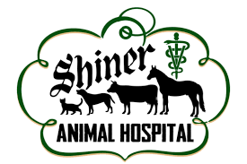 Check spelling or type a new query. Home