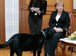 Berdymukhamedov's presentation of a puppy to vladimir putin is ironic, given the bloodbath of stray dogs and cats over which he has presided in ashgabat. Present For Putin A Puppy Named Verny
