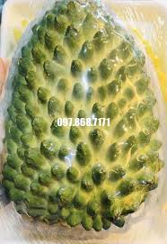 Quả to, thịt dai, hương vị thơm ngọt mềm rất được người tiêu dùng ưa chuộng. Cay Na Sáº§u Rieng Trung Tam Giá»'ng Cay Xuan KhÆ°Æ¡ng 097 868 7171