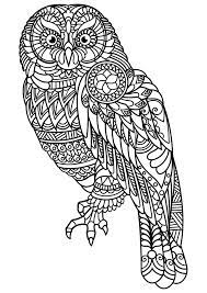 Dogs love to chew on bones, run and fetch balls, and find more time to play! Free Book Owl Owls Adult Coloring Pages