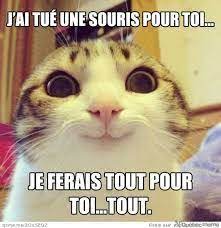 Encore suppose que les relations entre le monde technique et l'humain ont chang en conclusion, nous nous sommes demand si le monde technique tait encore humain, nous nous sommes rsolu dcouper notre rflexion en trois parties. 21 Idees De Humour Humour Images Droles Drole