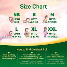 M 34 TEDDYY Baby Diapers Pants Easy Medium 34 Count, Age Group: 3-12 Months