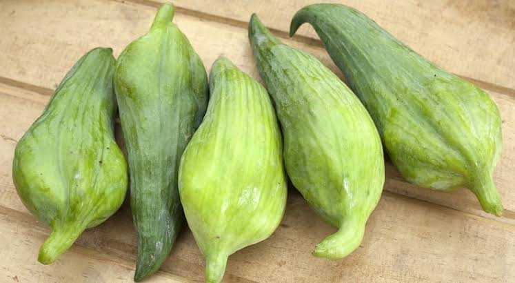 Caigua fresca y rellena