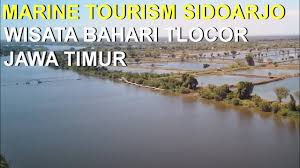 Pasalnya daerah ini memiliki sederet wisata bahari yang indah sehingga pengunjung bisa bermain dengan aman dan nyaman. Marine Tourism Wisata Bahari Tlocor Sidoarjo Jawa Timur Youtube