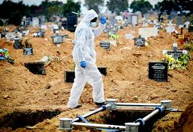 News24 produces and broadcasts news, sports, talk and entertainment information shows. Covid 19 Misinformation Continues To Fuel Negative Stigma In South Africa News24