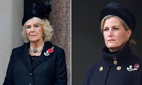She's understanding, an amazing friend to both girls and boys and she'll always have your back. Sophie Wessex And Duchess Camilla Wore The Same Piece Of Jewellery On Sunday Here S Why Hello