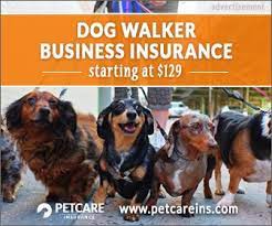 Exotic pet insurance represents fewer than 1% of all pet policies, while dogs account for almost 90% of all pet insurance policies in the us. Pet Sitting Insurance Do You Need It Thatmutt Com Dog Walking Business Dog Insurance Pet Sitters