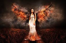 Check spelling or type a new query. 2 000 Free Angel Wings Angel Images