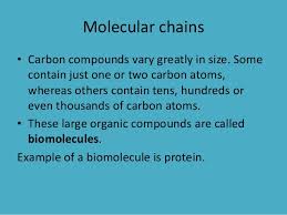 Dna from the beginning is organized around key concepts. Water And Biomolecules