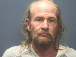 HOSKINS, BRYAN P Charges: FAILURE TO APPEAR This information and more is  available at isoms.seviercountytn.org:9000/Jail?hours=24