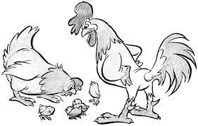 Cartoon drawings cartoon rooster drawing artwork rooster illustration animal drawings download cartoon rooster 3d by pixelsquid360. How To Draw Cartoon Chickens With A Hen A Rooster And Baby Chicks Cartoon Drawings Cartoon Chicken Cartoon Rooster