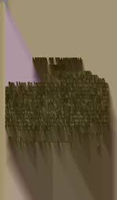 WAFERS