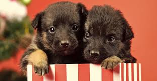 Potato head got a makeover and a new exciting play pattern for kids. 100s Christmas Gifts For Kids Ideas Diy Made By Kids Presents