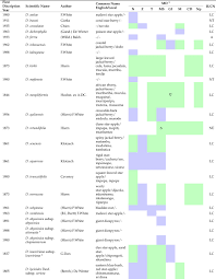 Image result for Diospyros loureiriana
