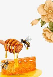 Honey Bees Honey Stir The Sticks Acacia Honey Png And Vector With Transparent Background For Free Download Honey Art Bee Painting Bee Art