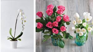 Check spelling or type a new query. Gifts For Any Occasion Inspirational Gift Guide