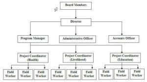 Organizational Chart For Your Ngo Family Foundations