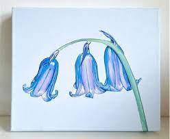 Image Result For Bluebell Art Bluebells Art Beautiful Lighthouse