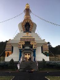 Sun camp in colorado takes place in a rocky mountains valley just above the downtown area of shambhala mountain center in red feather. Shambhala Mountain Center 151 Shambhala Way Red Feather Lakes Co Meditation Organizations Mapquest