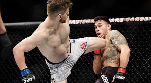 Последние твиты от ufc (@ufc). Shahbazyan Favoured To Remain Undefeated On Ufc Saturday Odds Sportsnet Ca
