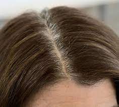 The Definitive Guide To Coloring Gray Hair Covering Gray Hair Grey Hair Dye How To Dye Hair At Home