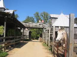 Zion Farms Rome Ga Adventure Book My Adventure Book Adventure