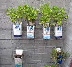 Mythological Quarter Careful Attention To Place Page 9 Milk Carton Squash Trellis Seedlings