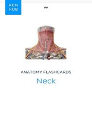 They will also tell you about the excitement and the feeling of discovery that come from seeing how the parts of the body fit and. Pdf Download Anatomy Flashcards Neck Learn All Organs Muscles Arteries Veins Nerves And Bones On The Go Kenhub Flashcards Book 51 Full Flip Ebook Pages 1 6 Anyflip Anyflip