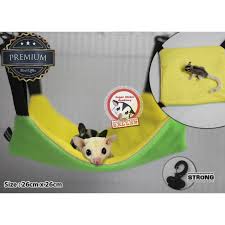 Ayam adalah salah satu makanan yang disukkai sugar glider. Sugar Glider Sleeping Pouch Sugarglider Academy Cage Pouch Simply Hanging Premium Banana Theme Terbaru Agustus 2021 Harga Murah Kualitas Terjamin Blibli