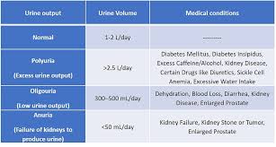 Image result for Urine Output