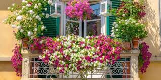 Maybe you would like to learn more about one of these? 5 Fiori Estivi Perfetti Per Stare In Pieno Sole