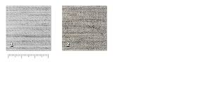 Camel hair, animal fibre obtained from the camel and belonging to the group called specialty hair fibres. Mpc Camel Hair Cloth Technical Fabrics Peroni